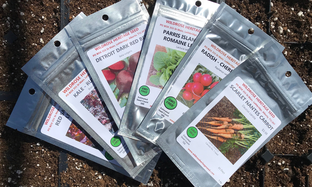 group of six seed packages fanned out on a soil background