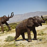 Elephants sculpted from metal in the desert near Borrego Springs, California