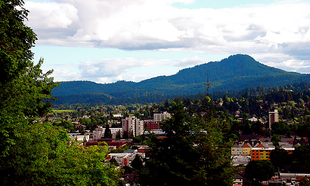 aerial view of a city