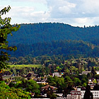 aerial view of a city