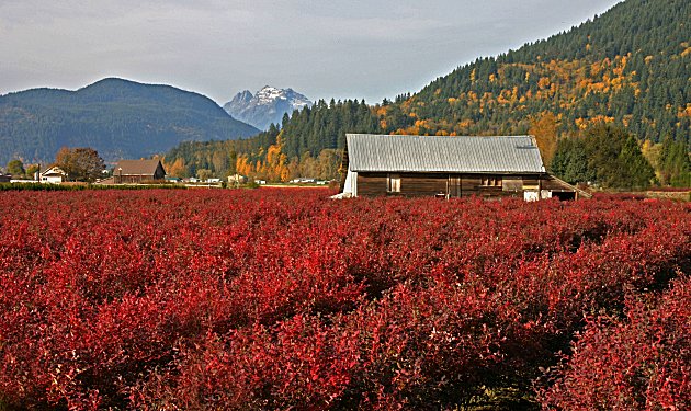 Camping in Mission, BC, agriculture