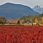 Camping in Mission, BC, agriculture