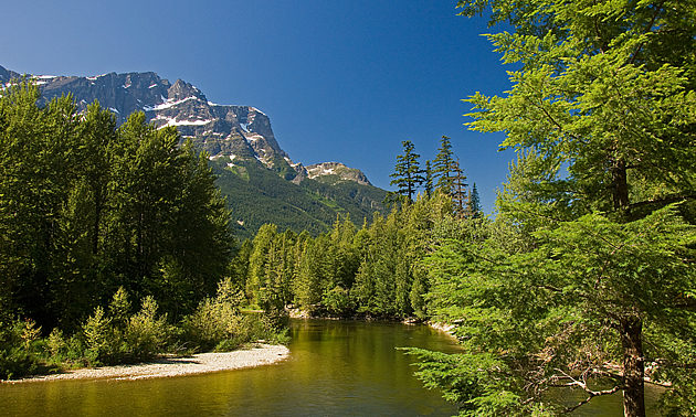 mountain and a river in the forest