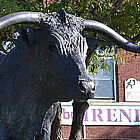 bull sculpture in Southwestern Kansas - Dodge City