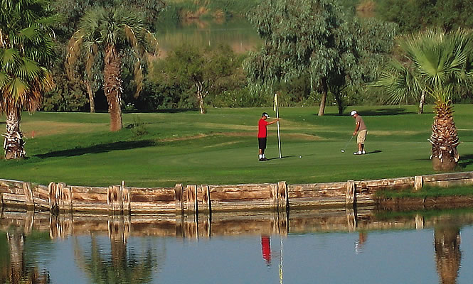 people golfing with palm trees and water nearby