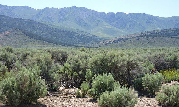 rugged desert scene in Eureka Nevada