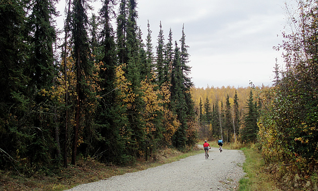 two people jogging on a trail