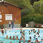 people swimming in a pool