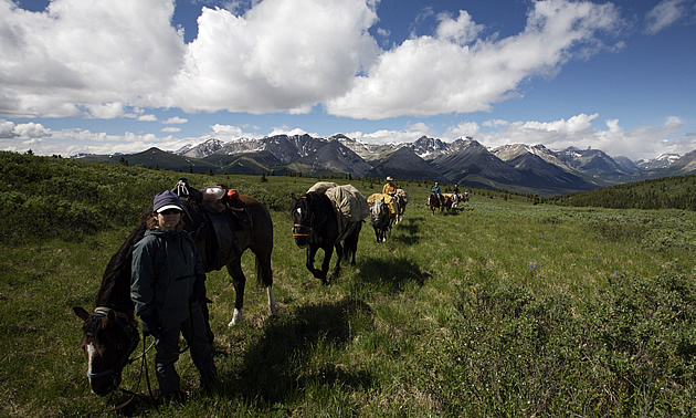 a line of people with horses on a trail