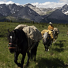 a line of people with horses on a trail