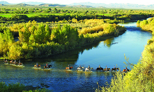 people riding horses through a river in a scenic area in Fort McDowell, AZ