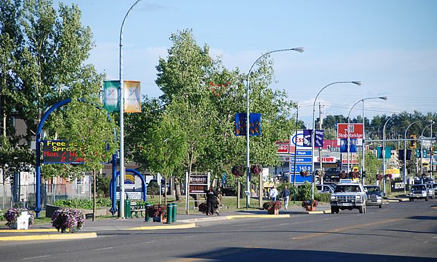 street with trees and stores on either side