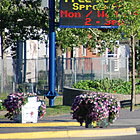 street with trees and stores on either side