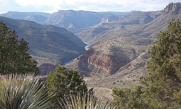 canyon aerial view