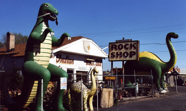 Adam Luna's Rainbow Rock Shop in Holbrook Arizona, with dinosaur sculptures and signs out front