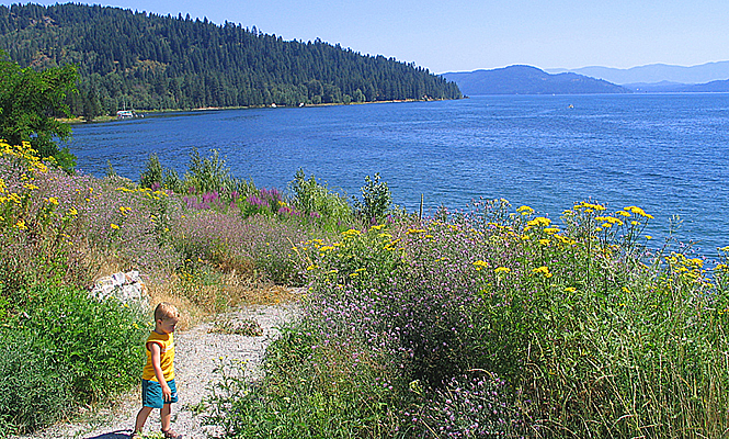 child walking through wildflowers