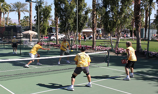 people playing sports on a court