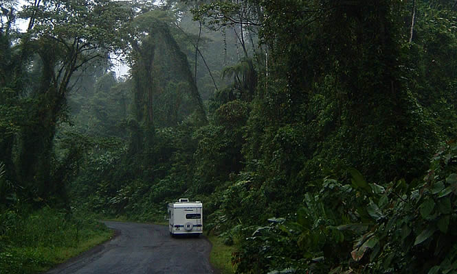 RV going through the rainforest