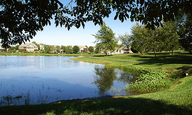 park with water