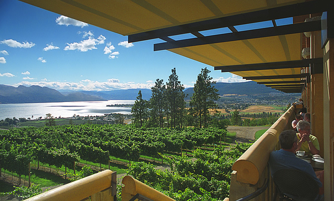 vineyard balcony overlooking scenic view of the grapevines in Kelowna BC