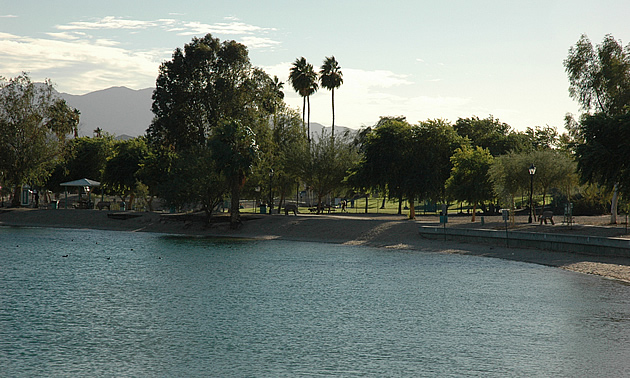 lake with palm trees and other greenery