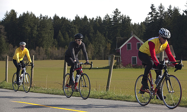 people riding bikes on a country road