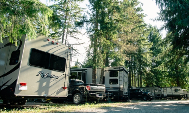 Wooded campground with trees on all sides and several large RVs