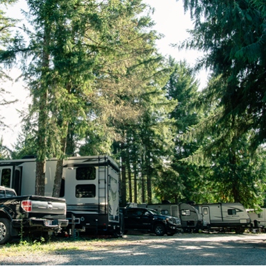 Wooded campground with trees on all sides and several large RVs