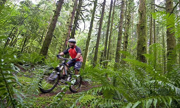 Person riding a bike on the trails in Maple Ridge and Pitt Meadows, BC.