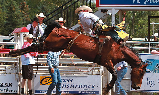 cowboy riding a bucking horse in Medicine Hat