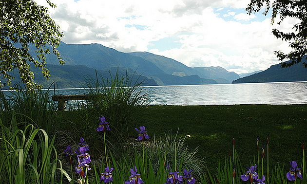 waterfront view with a bench and trees and mountains