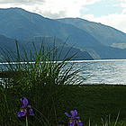 waterfront view with a bench and trees and mountains