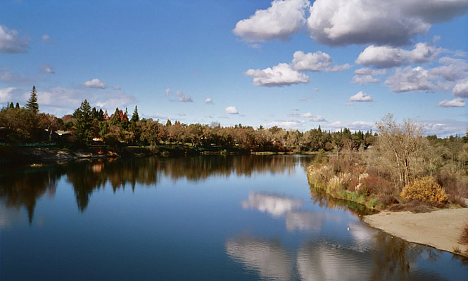 River and trees