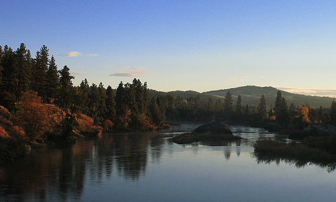 Waterfront scene with trees in the background