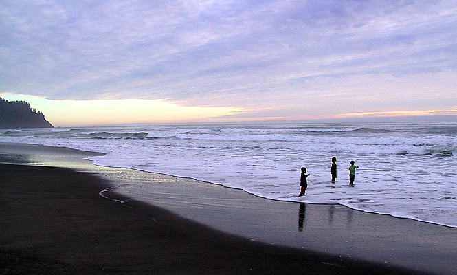 people walking on the beach