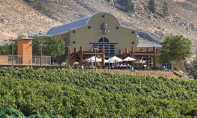 winery with vineyard beside it, and people sitting on chairs