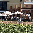 winery with vineyard beside it, and people sitting on chairs