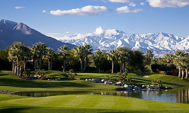 palm trees on a golf course, mountains in the background