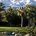 palm trees on a golf course, mountains in the background