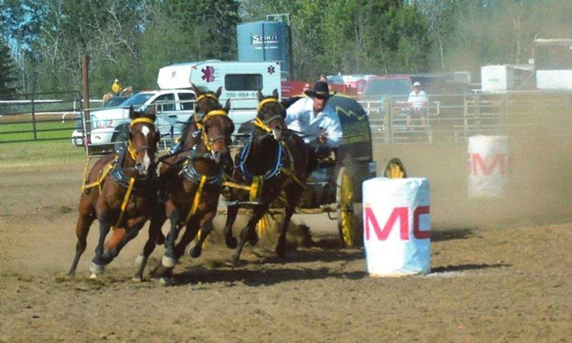 Perle's husband Len racing. They belong to the All Pro Chuckwagon and Chariot Association's Taste the Dust Pro Tour.