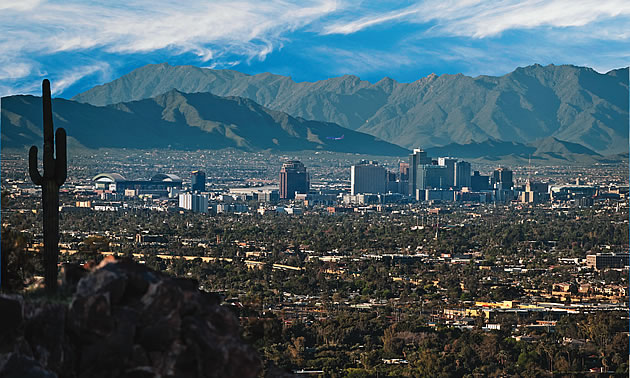 city skyline and cacti in foreground