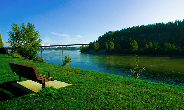 bench in a park overlooking water