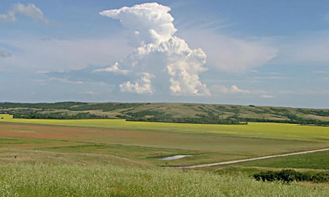 Prairie scene in Saskatchewan's Qu'Appelle Valley