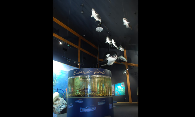 The Quatse Salmon Stewardship Centre.