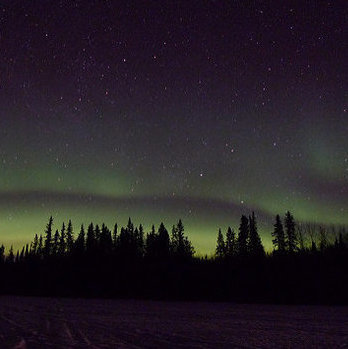 northern lights in alberta