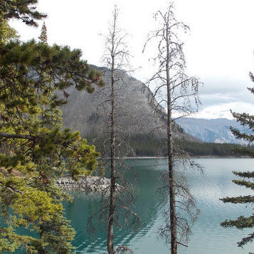 Banff welcomes campers warmly.