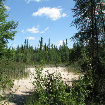 True to its name, Spruce Grove is surrounded by lush forests.