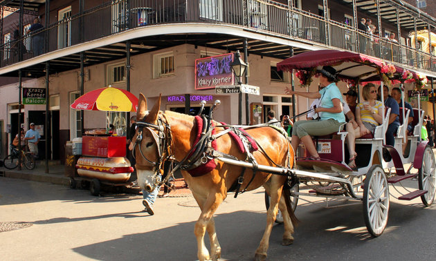 Louisiana has so much to see and do, it is a natural choice for RVers seeking fun family camping destinations.