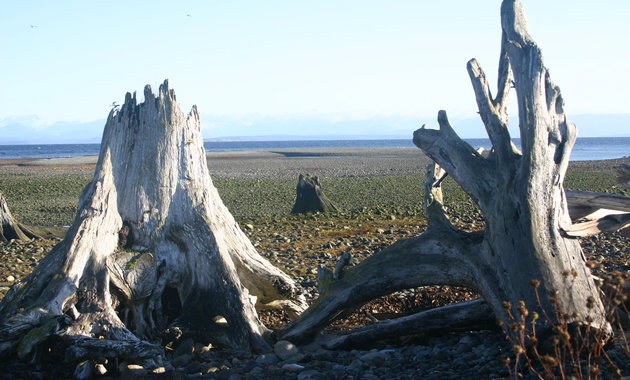 Pacific Playground RV Park in Campbell River, B.C.