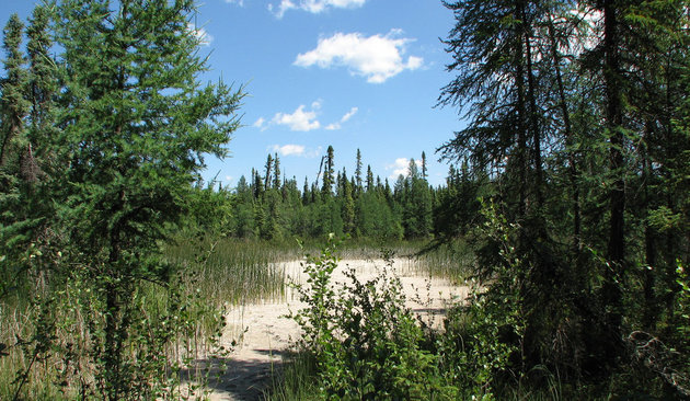 True to its name, Spruce Grove is surrounded by lush forests.